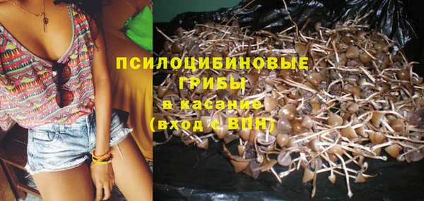 крисы Верхнеуральск