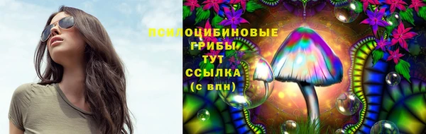 крисы Верхнеуральск