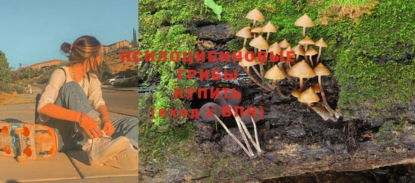 каннабис Верея